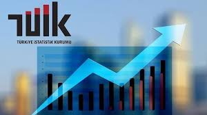 TÜİK işsizlik oranını açıkladı