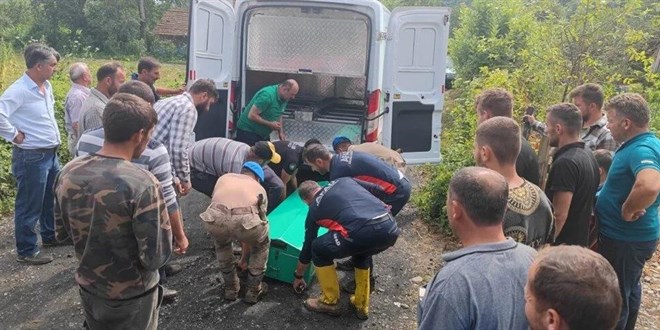 AFAD Başkanı Sezer: Bine yakın heyelan ve toprak kayması var.